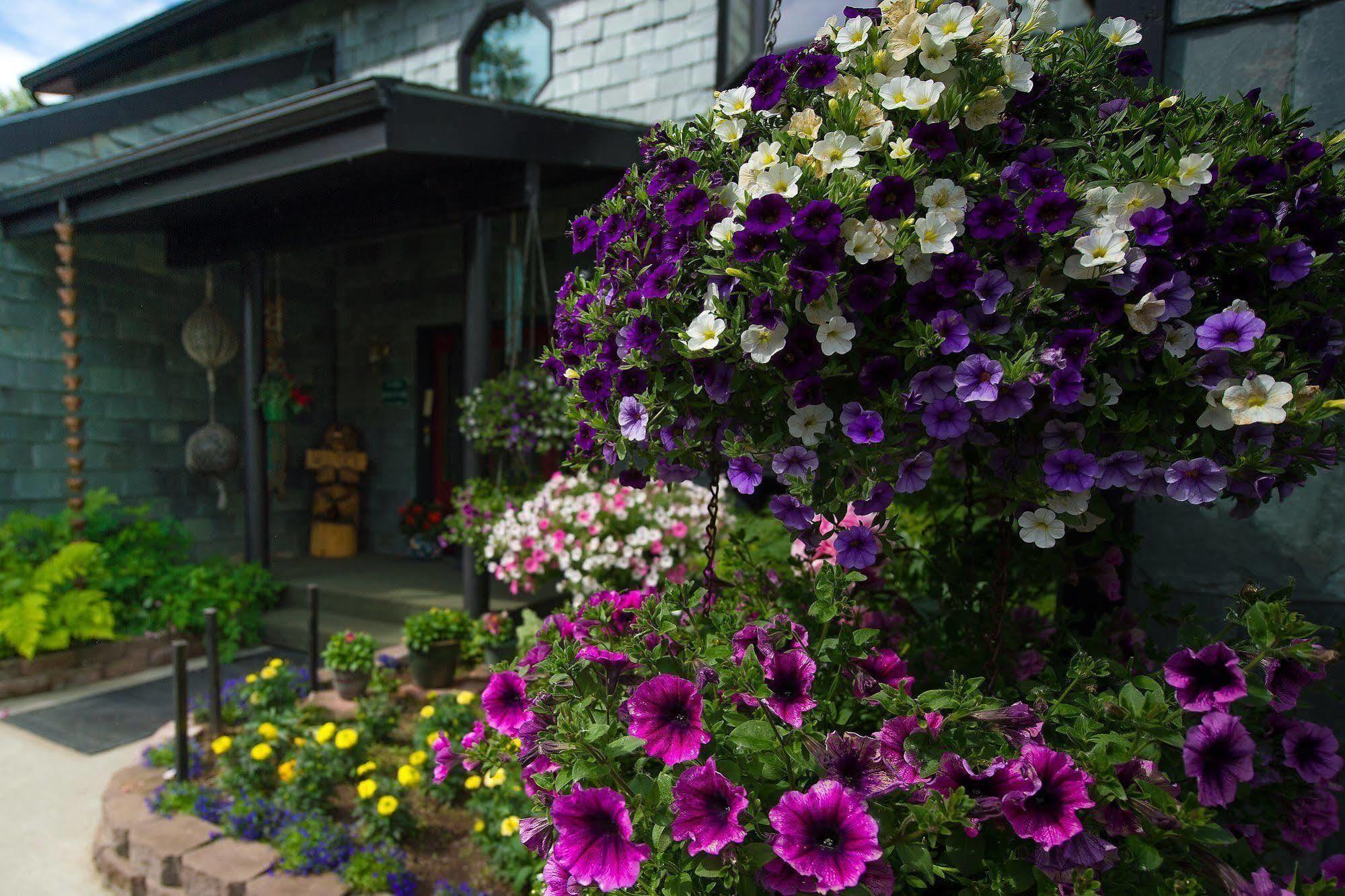 Alaska House Of Jade Bed And Breakfast Anchorage Bagian luar foto